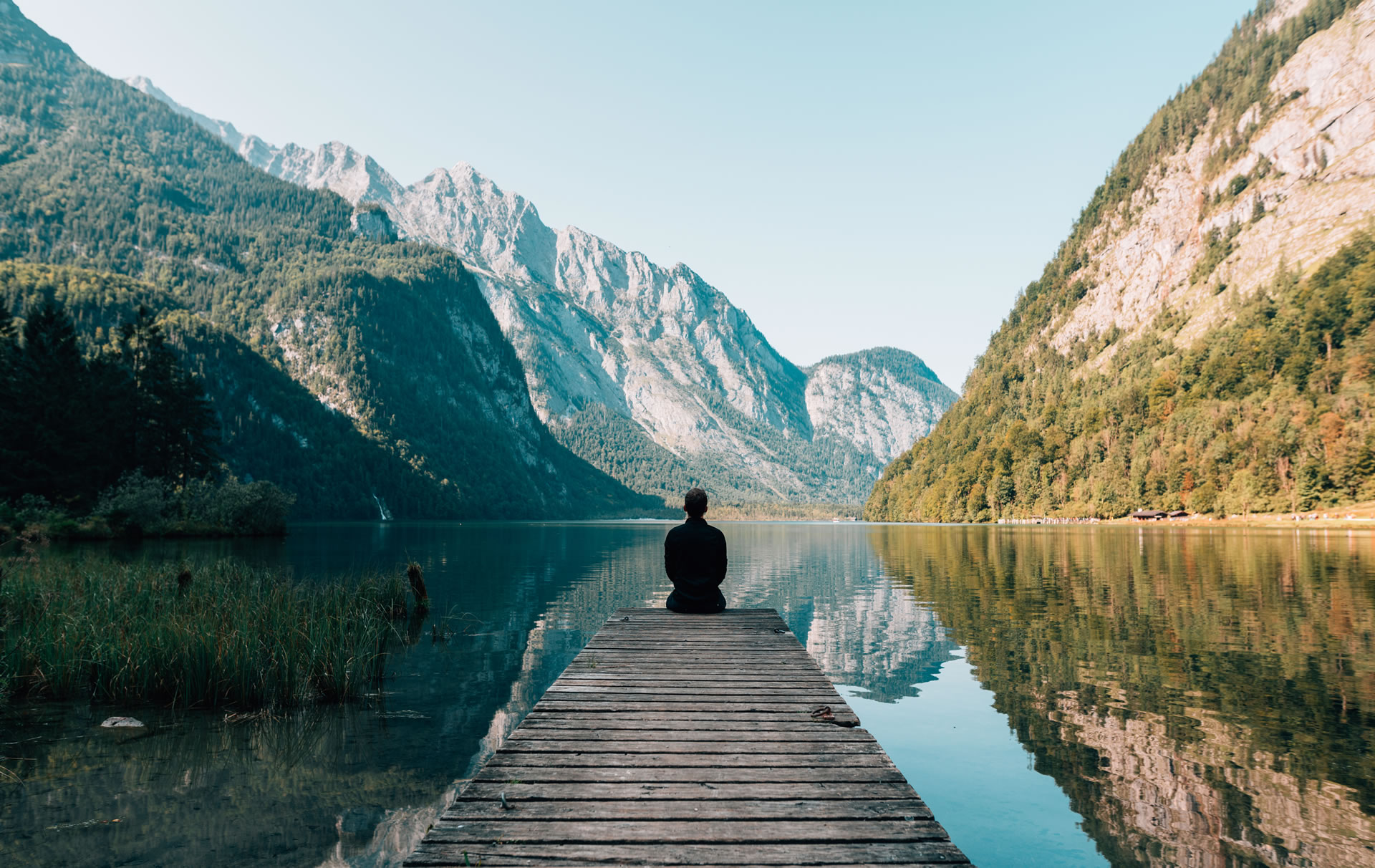 Achtsame Berufsberatung und Coaching in der Natur