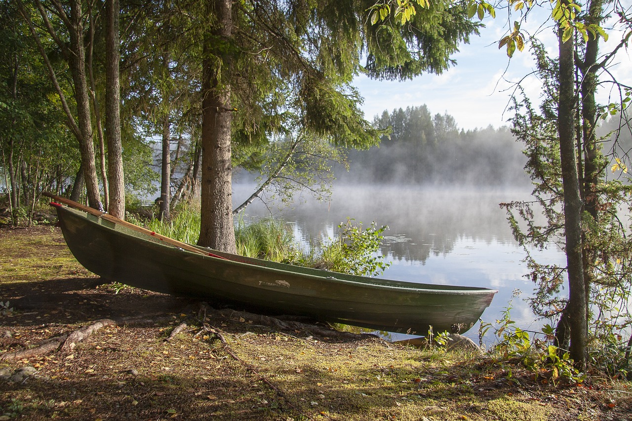 Achtsame Berufsberatung und Coaching in der Natur