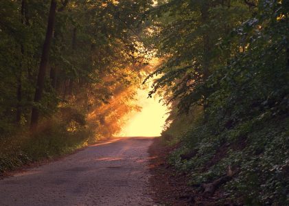 Karriere Coaching in der Natur