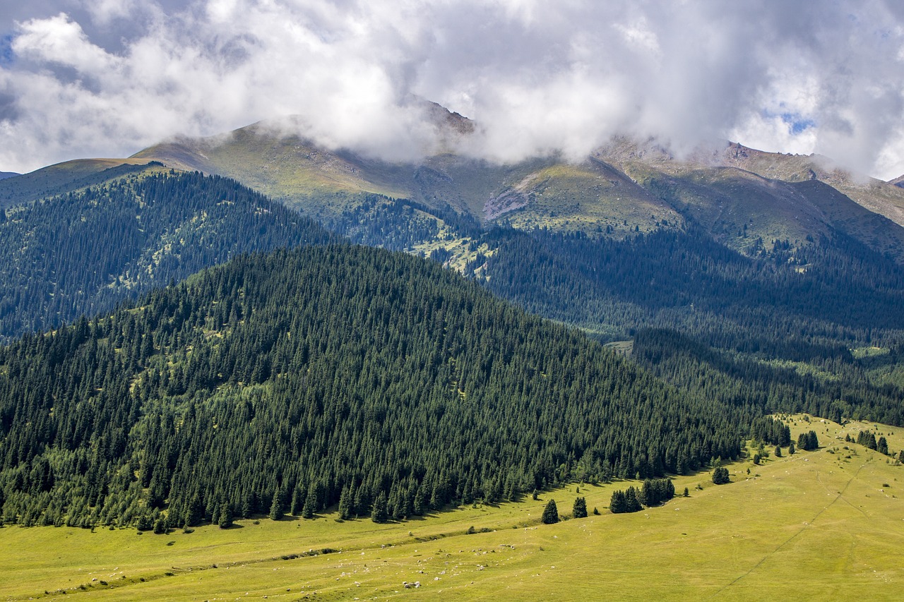 Achtsame Berufsberatung und Coaching in der Natur