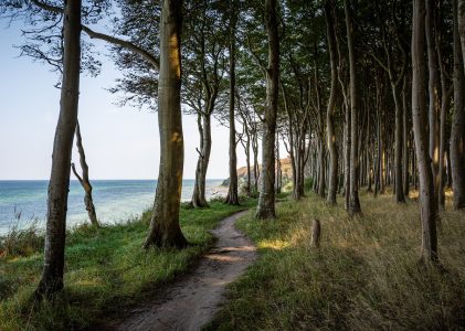 Natur-Coaching Retreats