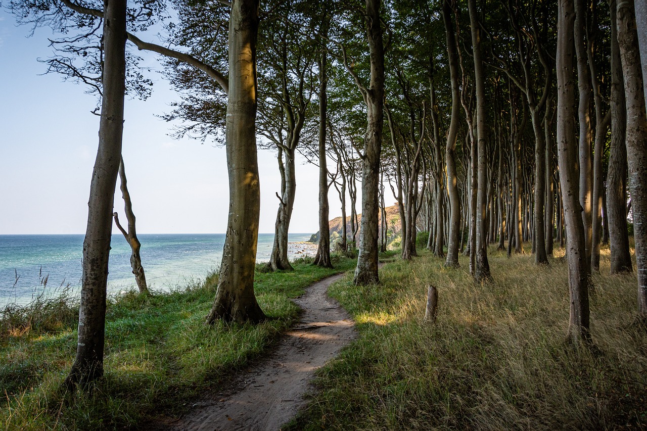 Achtsame Berufsberatung und Coaching in der Natur
