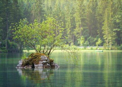 Natur- und Entspannungstherapie