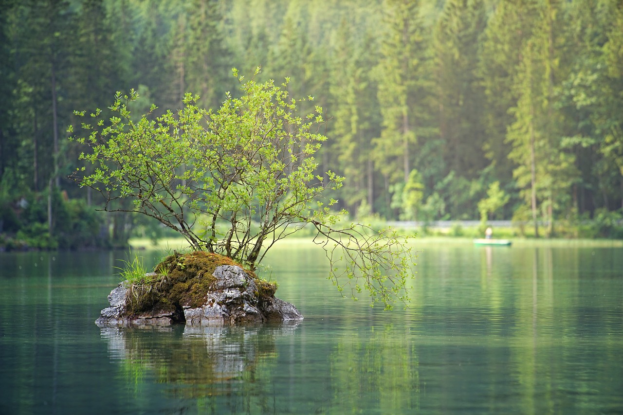 Achtsame Berufsberatung und Coaching in der Natur